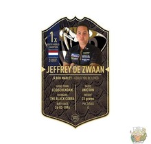 Jeffrey de Zwaan -  Ultimate Darts Card