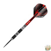 Mark Webster SE 90% Tungsten darts