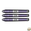 Bull's Darts Dirk van Duijvenbode 80% Tungsten Aubergenius darts