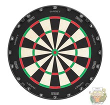 Aspar Professional Dartboard