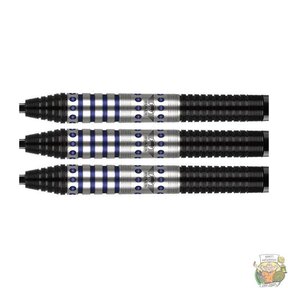 Richard Veenstra 90% Tungsten darts