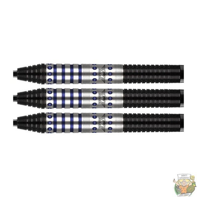 Richard Veenstra 90% Tungsten darts
