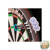 Gerwyn Price Practice Rings