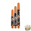 Target Pro Grip Icon Raymond van Barneveld Short