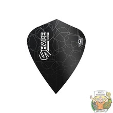 Shape 100 Black Kite