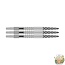 Target Darts Swiss Point DS Silver