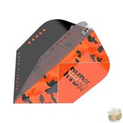 Vision Ultra Player Raymond van Barneveld Echo No.6