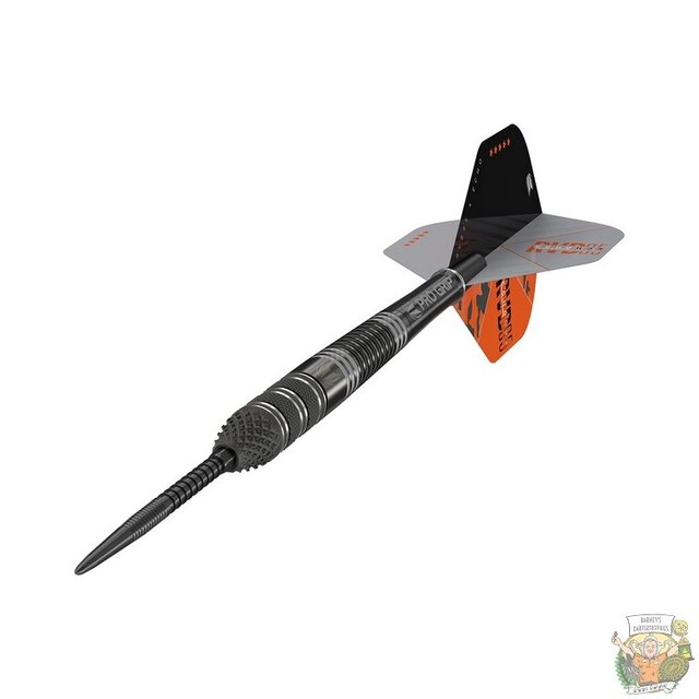 Bekijk hier de nieuwe darts van Raymond van Baneveld online