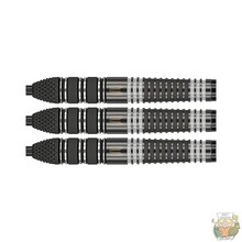 Raymond van Barneveld Echo 95% Tungsten darts Swiss