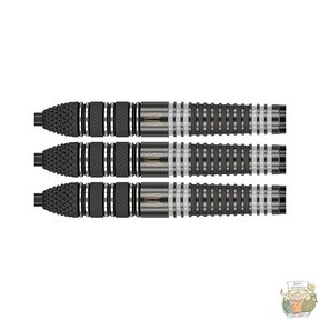 Raymond van Barneveld Echo 95% Tungsten darts Swiss
