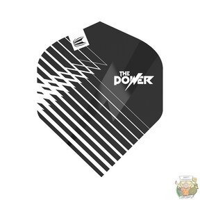 Vision Ultra Player Phil Taylor Black No.2