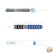 Aurora Fochesato 90% Tungsten darts