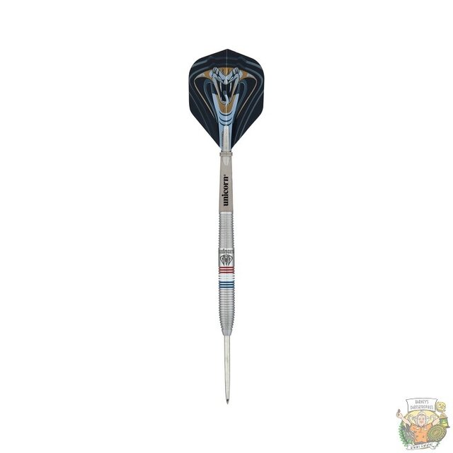 Maestro Jeffrey de Zwaan 90% tungsten darts P2