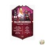 Ultimate Darts Fallon Sherrock NEW - Ultimate Darts Card