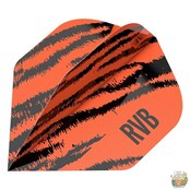 Pro Player Raymond van Barneveld Brass Orange No.2