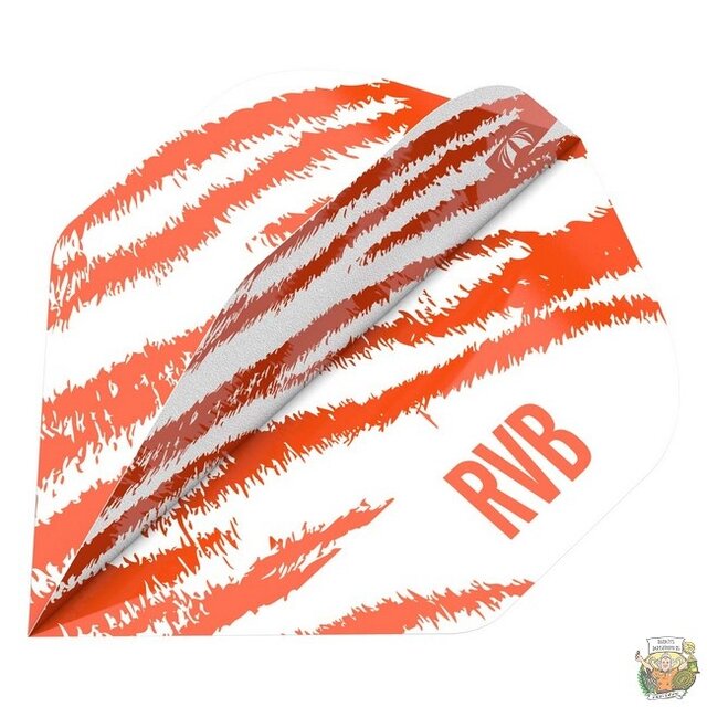 Pro Player Raymond van Barneveld Brass White No.2