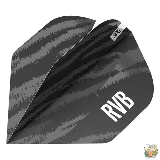 Pro Player Raymond van Barneveld Brass Black No.2