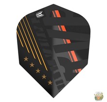 Pro Player Raymond van Barneveld 80 Black