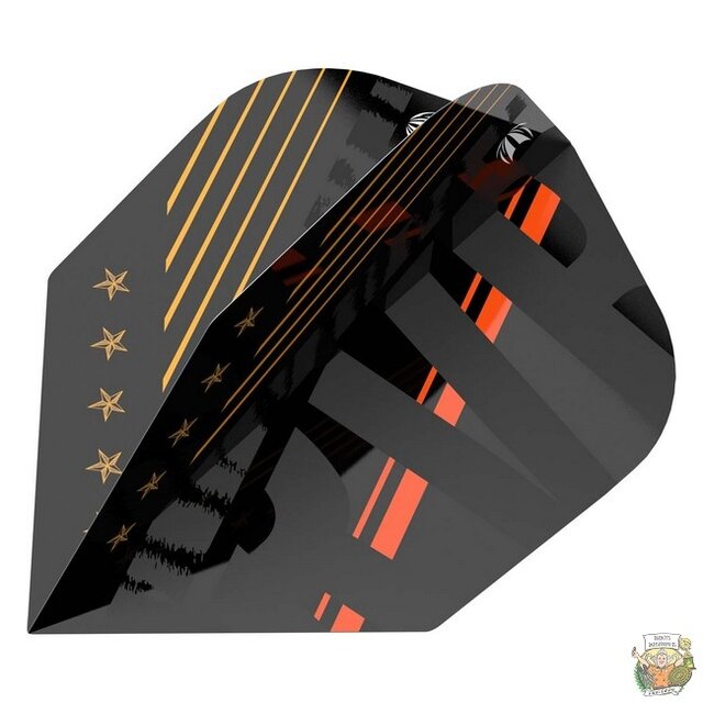 Pro Player Raymond van Barneveld 80 Black