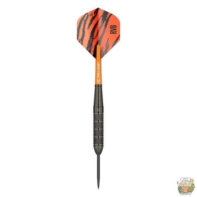 Raymond van Barneveld Brass Steeltip