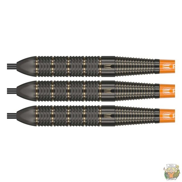 Raymond van Barneveld Brass Steeltip
