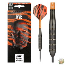 Raymond van Barneveld Brass Steeltip