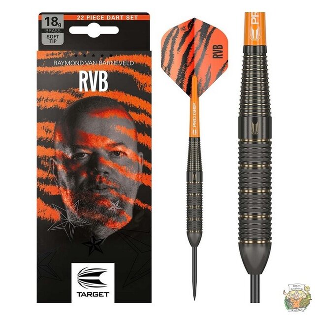 Raymond van Barneveld Brass Steeltip