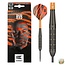 Target Raymond van Barneveld Brass Steeltip