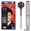 Bull's Darts Richard Veenstra 80%