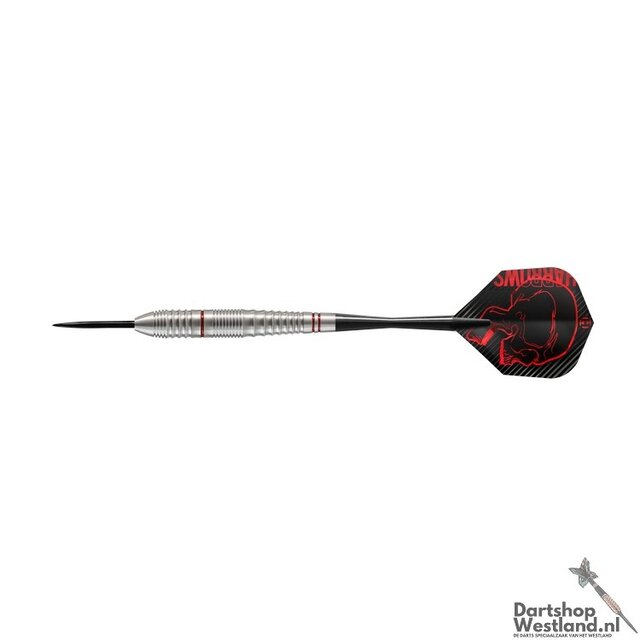 Rage steel darts