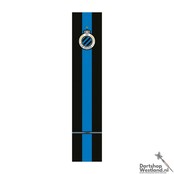 Professional Dartmat 300x60