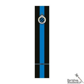 Professional Dartmat 300x60