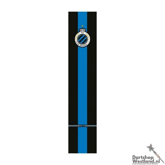 Professional Dartmat 300x60