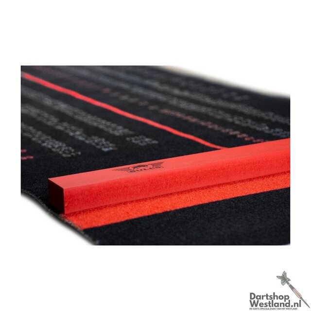 Carpet Finishmat + Oche 300x90