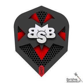 Michael Smith Tenacious Flight No.6