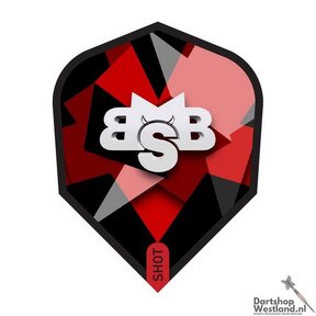 Michael Smith Defiant Flight No.6