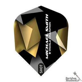 Michael Smith Believe Flight No.6