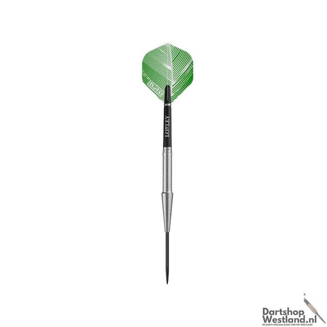 Robin Model 2 90% Tungsten darts