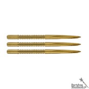 Volute Point Shark Fin Large Gold