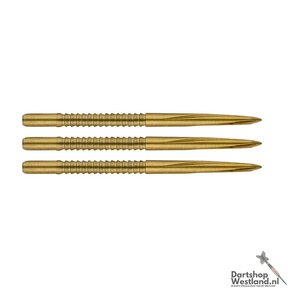 Volute Point Shark Fin Large Gold