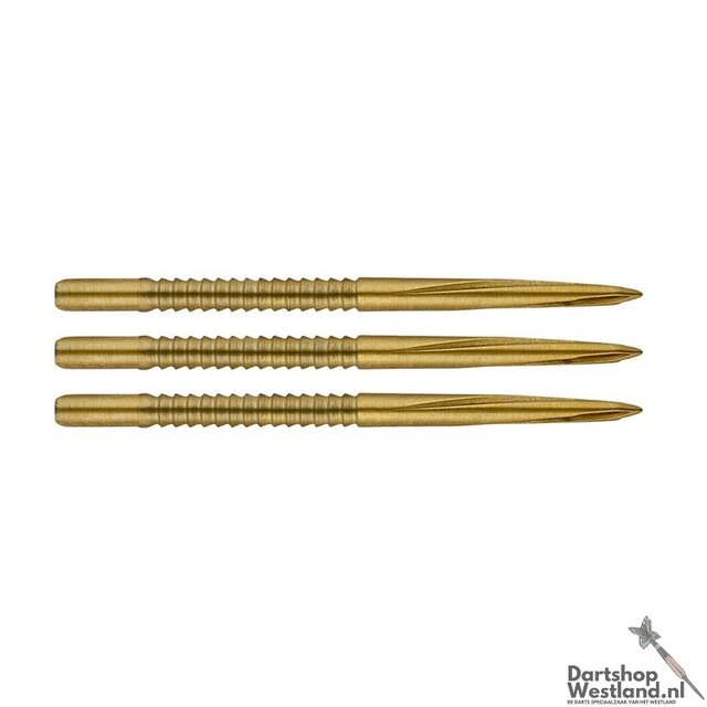 Volute Point Shark Fin Large Gold