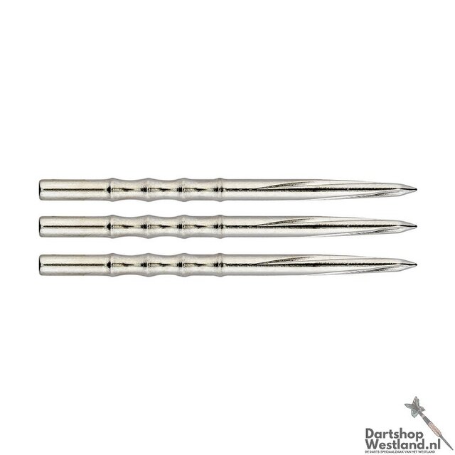 Volute Point Scalloped Silver