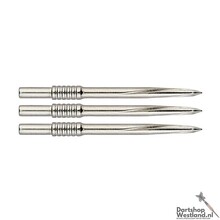 Volute Point Shouldered & Scalloped Silver