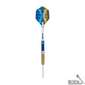 Gary Anderson Duo 90%