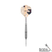 Raymond v Barneveld Barney 25 95% Swiss