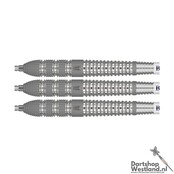 Raymond v Barneveld Barney 25 95% Swiss