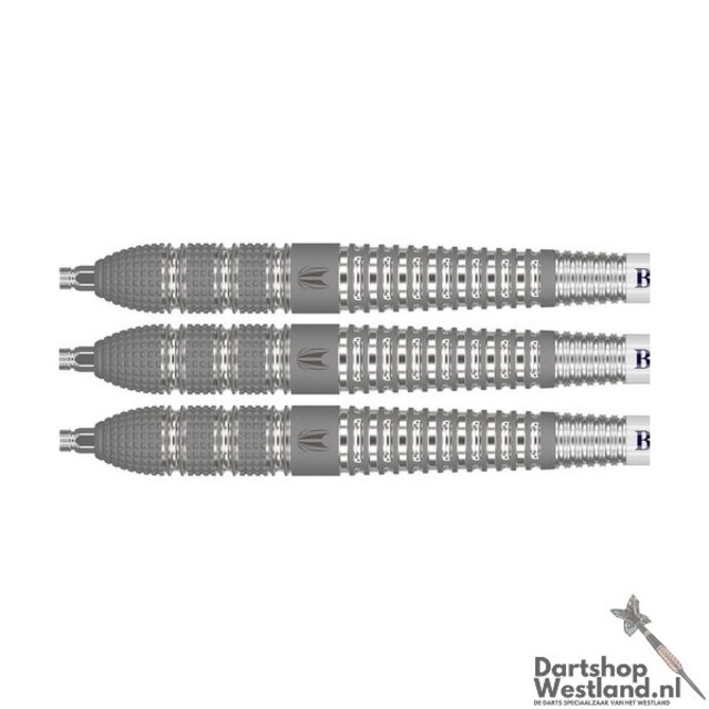 Raymond v Barneveld Barney 25 95% Swiss