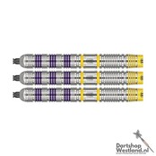 Luke Littler Loadout 90% Swiss