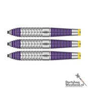 Luke Littler Brass Steeltip