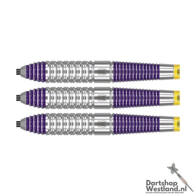 Luke Littler Brass Steeltip